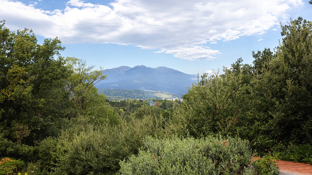 Photo of Others in Ceret