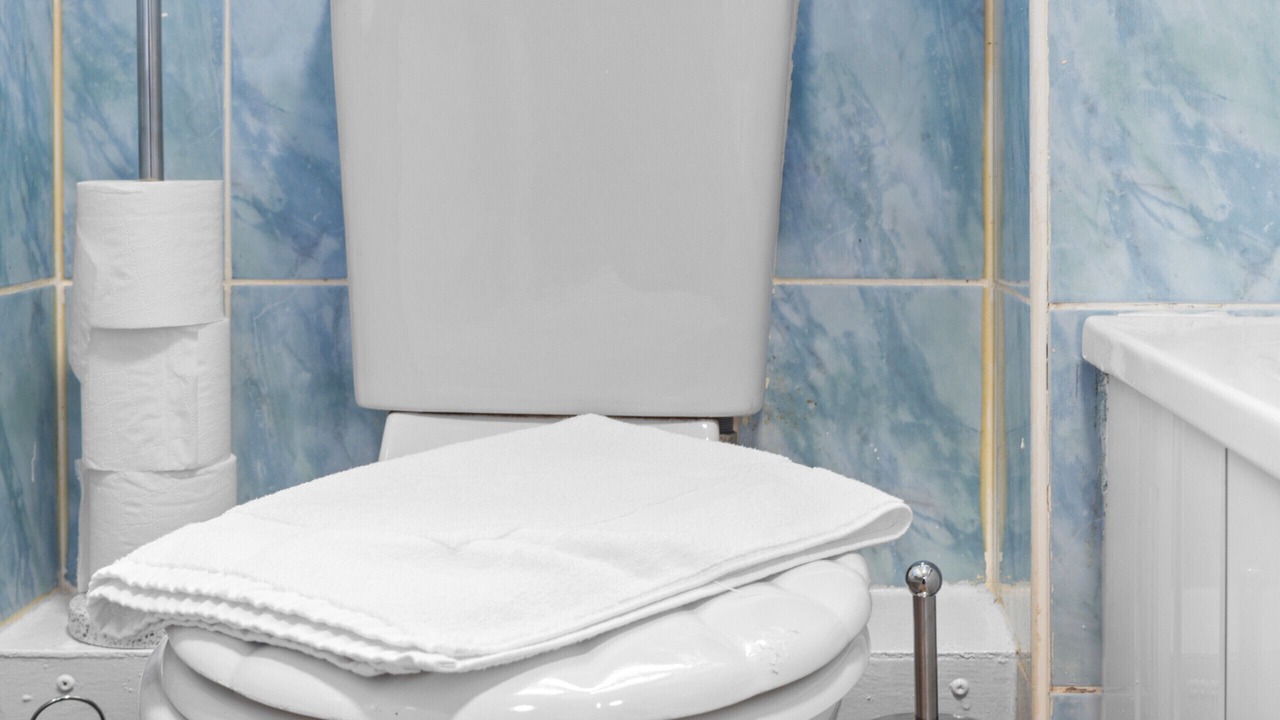 Photo of Bathroom in Whitburn