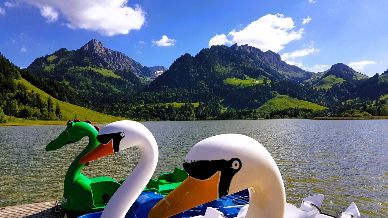 Photo of Others in Schwarzsee
