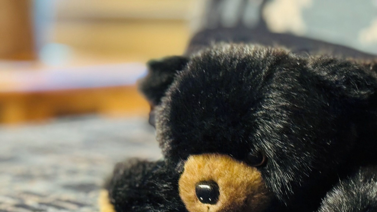 Photo of Others in Big Canoe