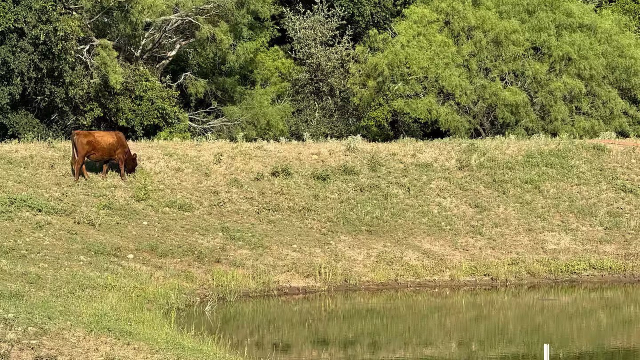 Photo of Others in Eastland County