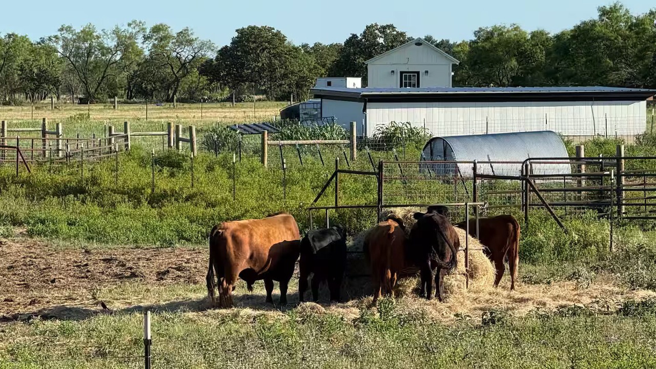 Photo of Others in Eastland County