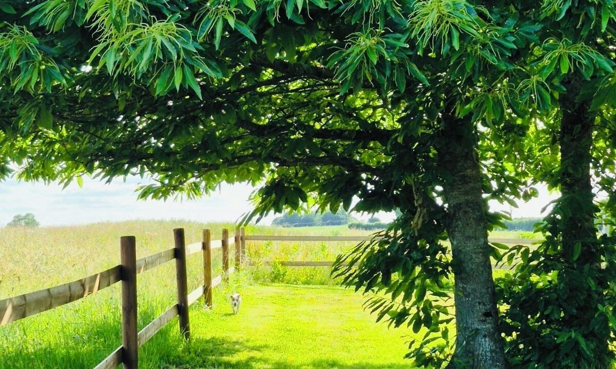 Photo of Outdoor in Chemilli