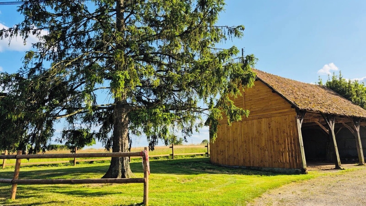 Photo of Others in Chemilli