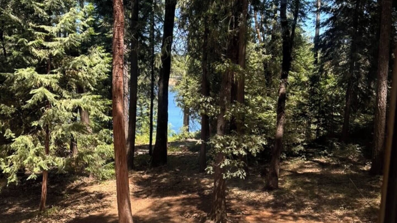 Photo of Others in Pollock Pines
