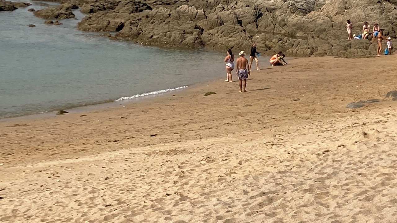 Photo of Others in La Turballe