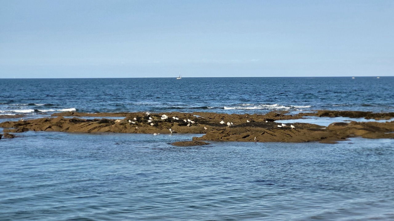 Photo of Others in La Turballe
