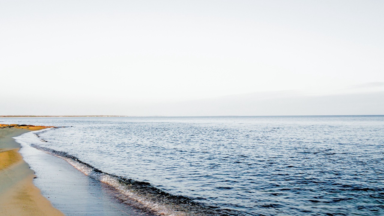 Photo of Others in Popponesset