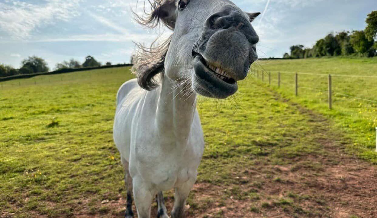 Photo of Others in Hereford