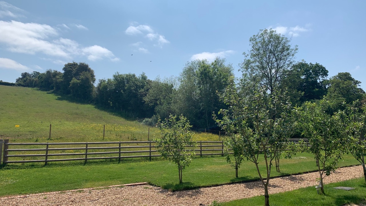 Photo of Others in Hereford