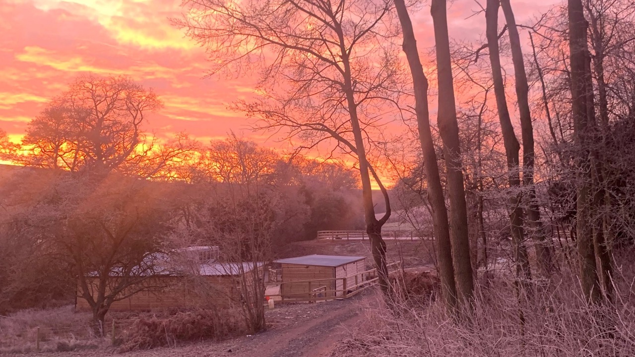 Photo of Others in Hereford