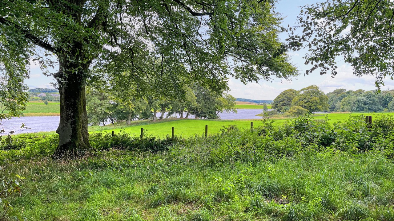 Photo of Others in Castle Douglas