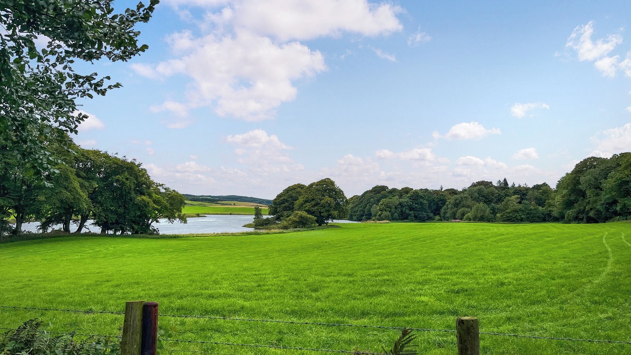 Photo of Others in Castle Douglas