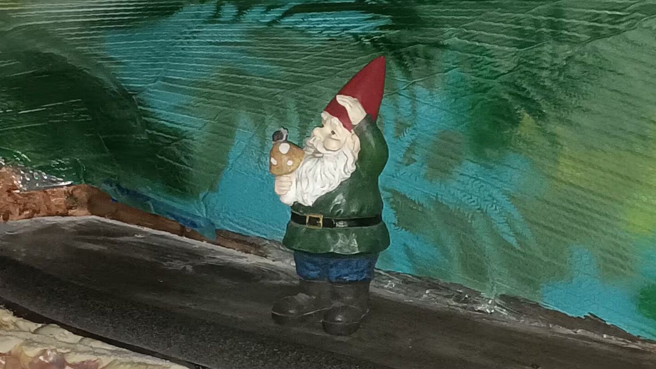 Photo of Others in Knoxville