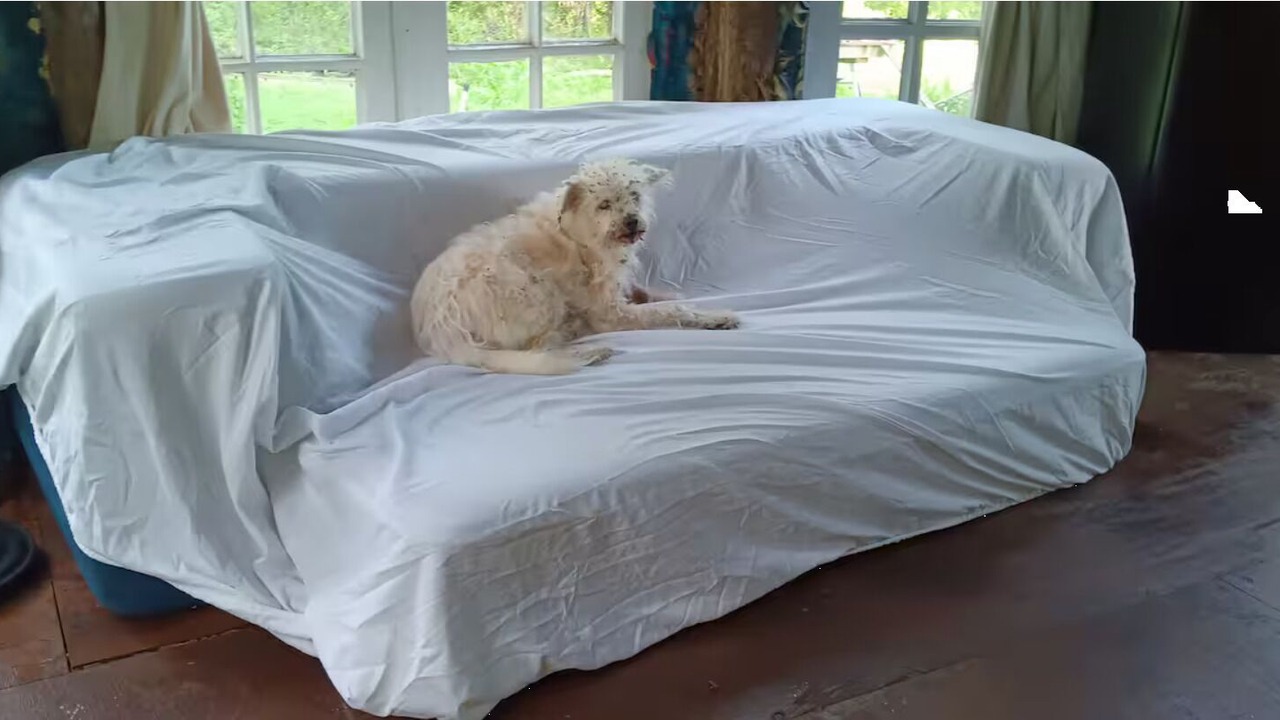 Photo of Bedroom in Knoxville