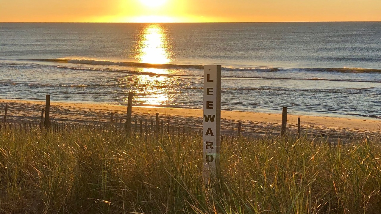 Photo of Others in South Beach Haven