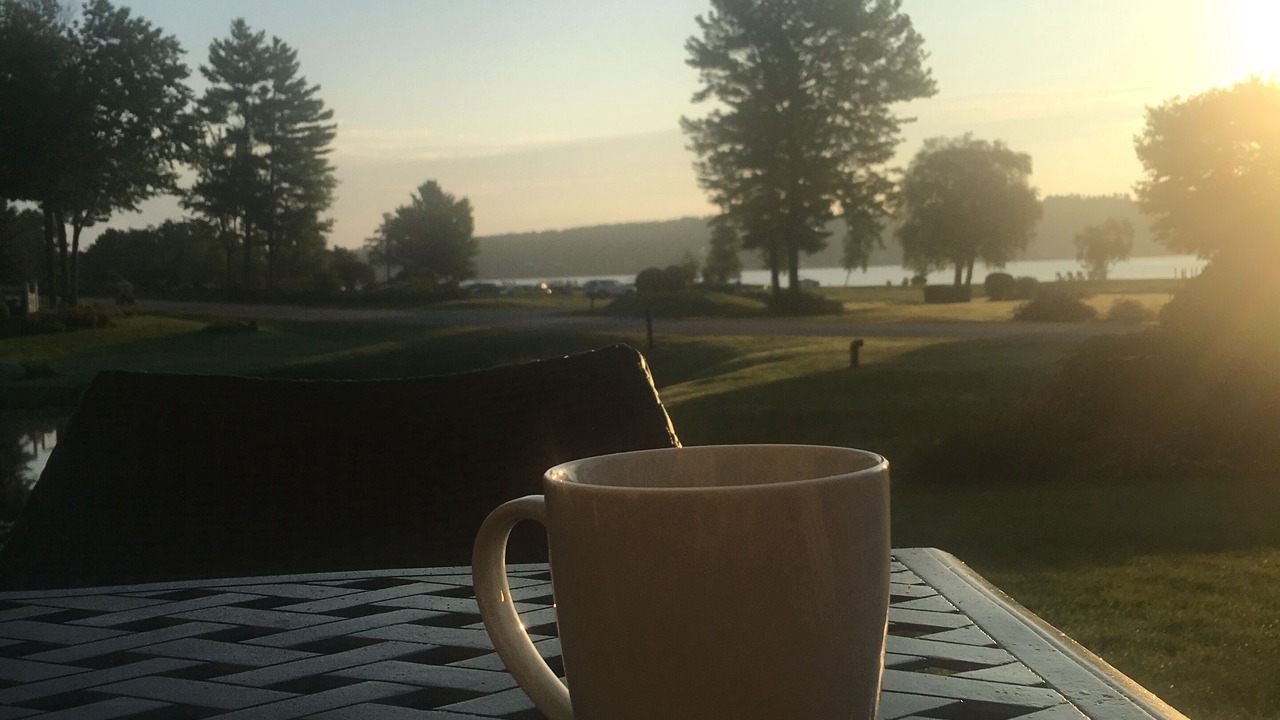 Photo of Others in South Down Shores