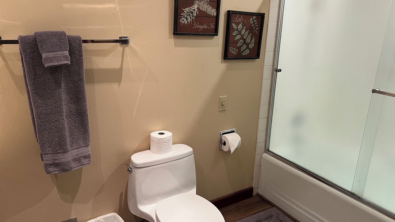 Photo of Bathroom in Dollar Point