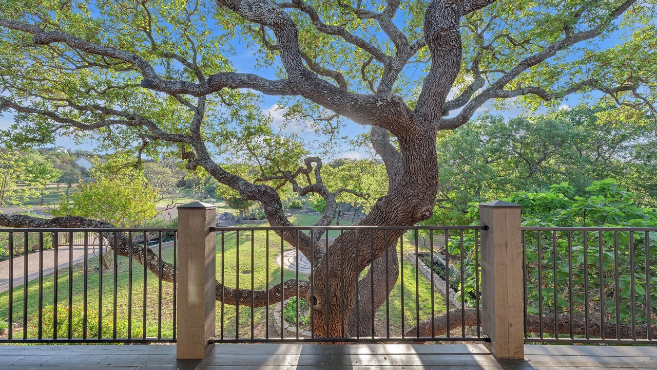 Photo of Outdoor in Spicewood