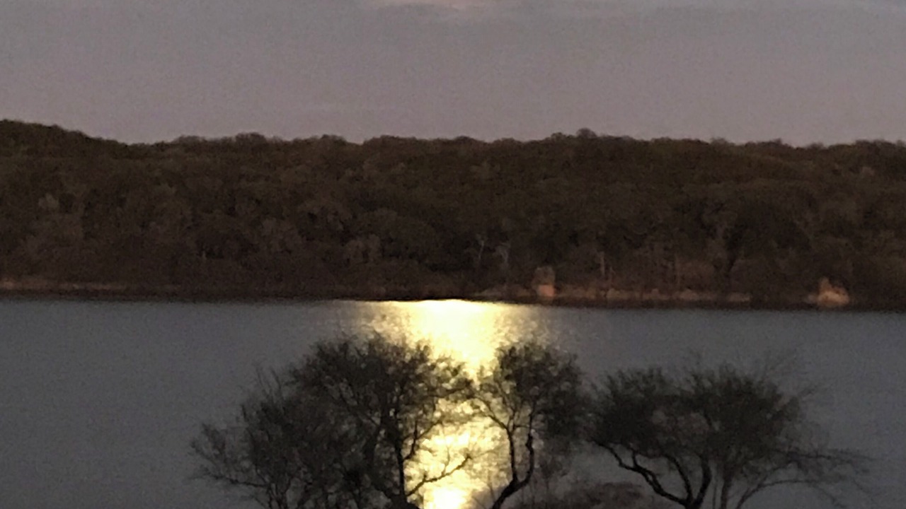 Photo of Others in Spicewood