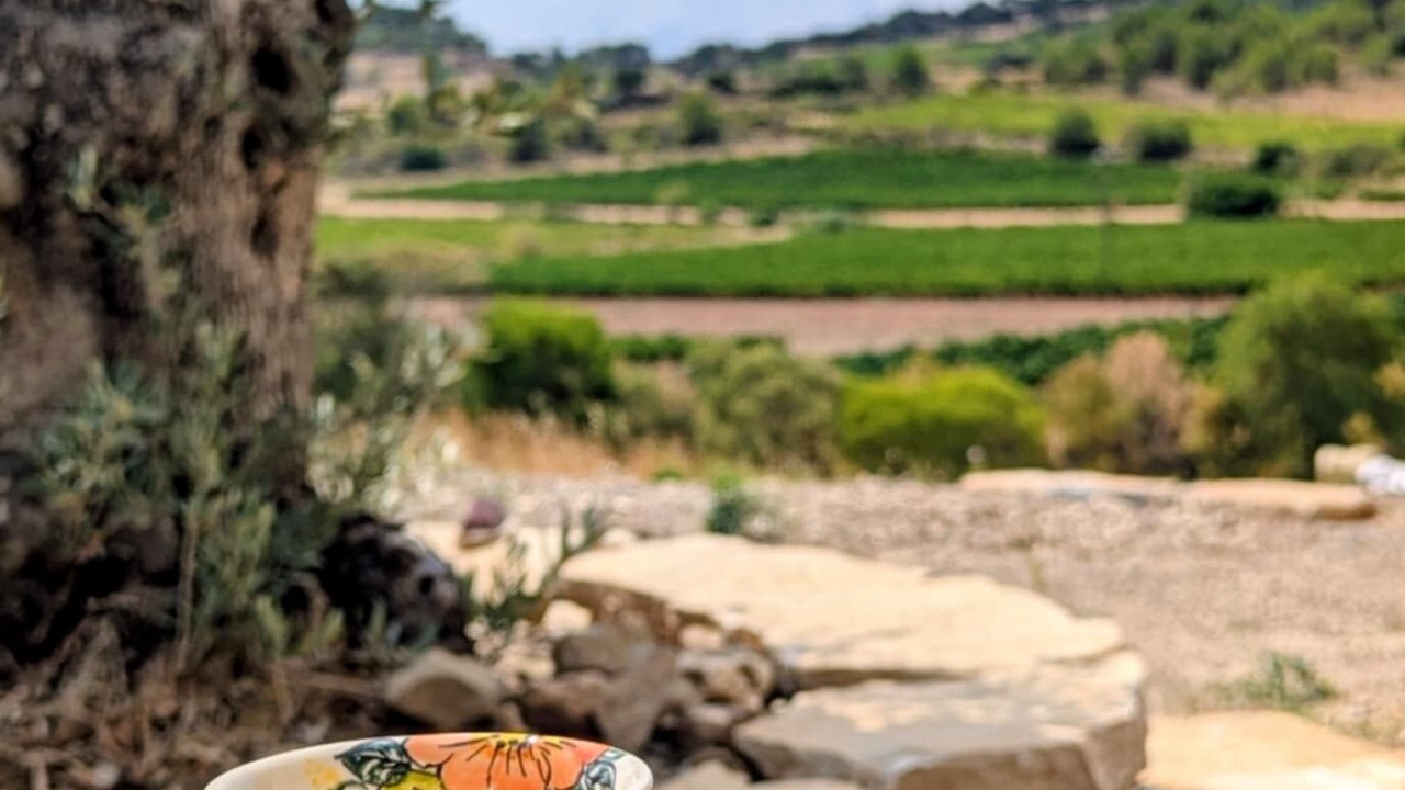 Photo of Outdoor in Felines-Minervois