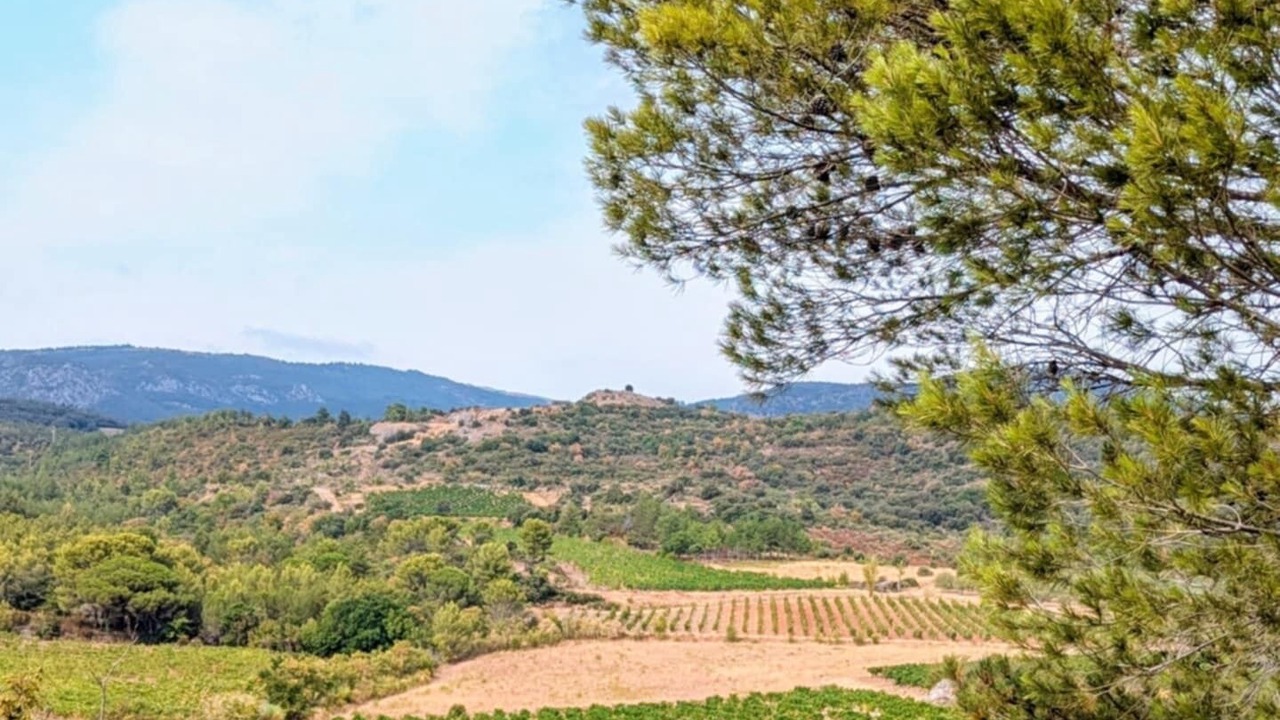 Photo of Others in Felines-Minervois