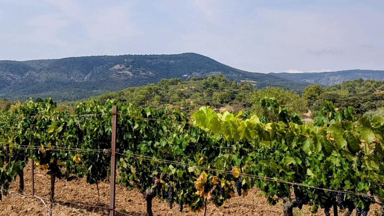 Photo of Others in Felines-Minervois