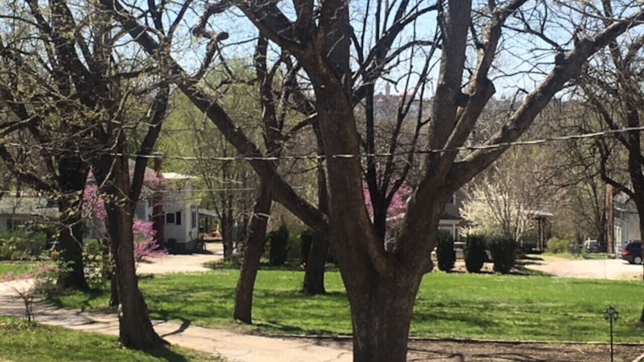 Photo of Outdoor in Brook Creek