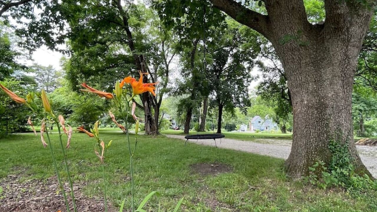 Photo of Outdoor in Brook Creek