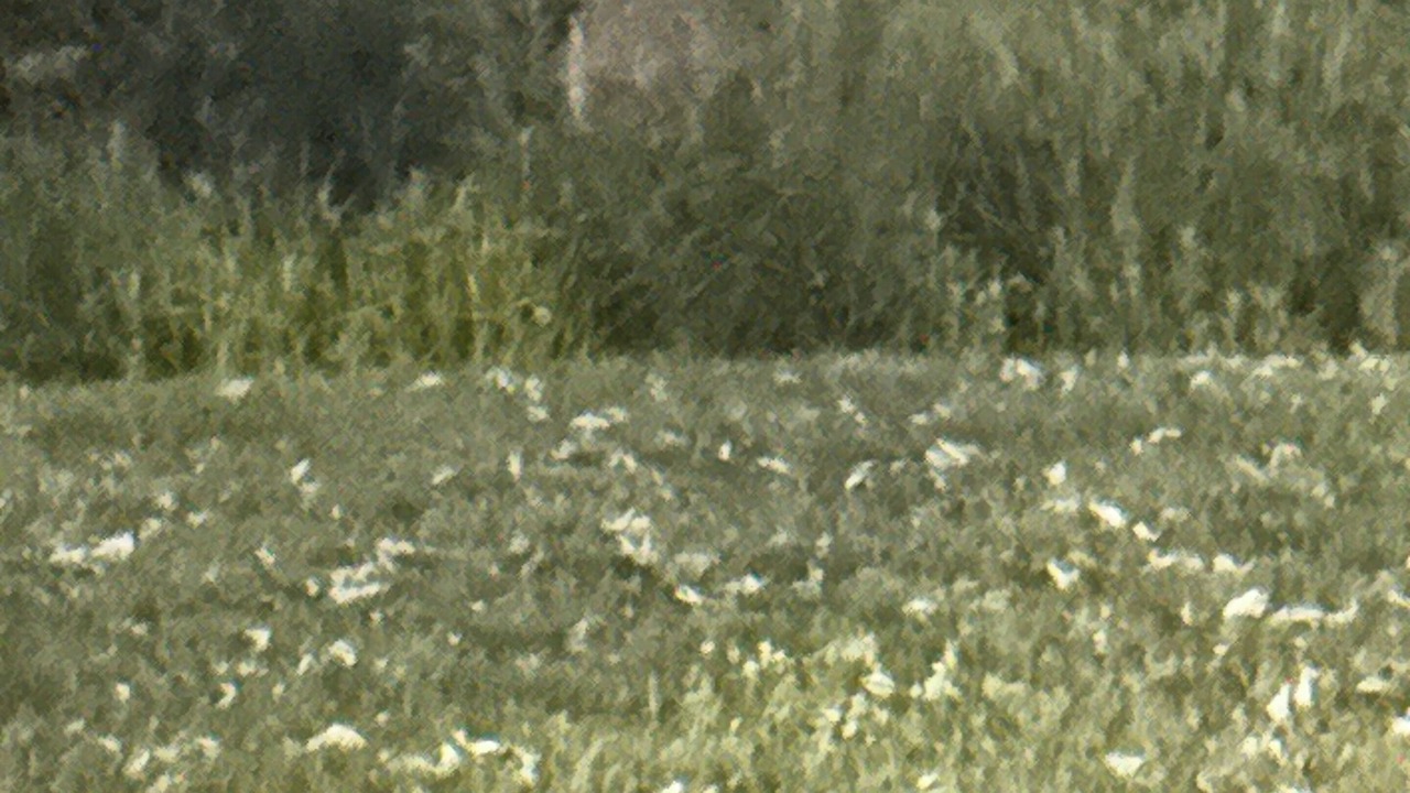 Photo of Others in Sullivan