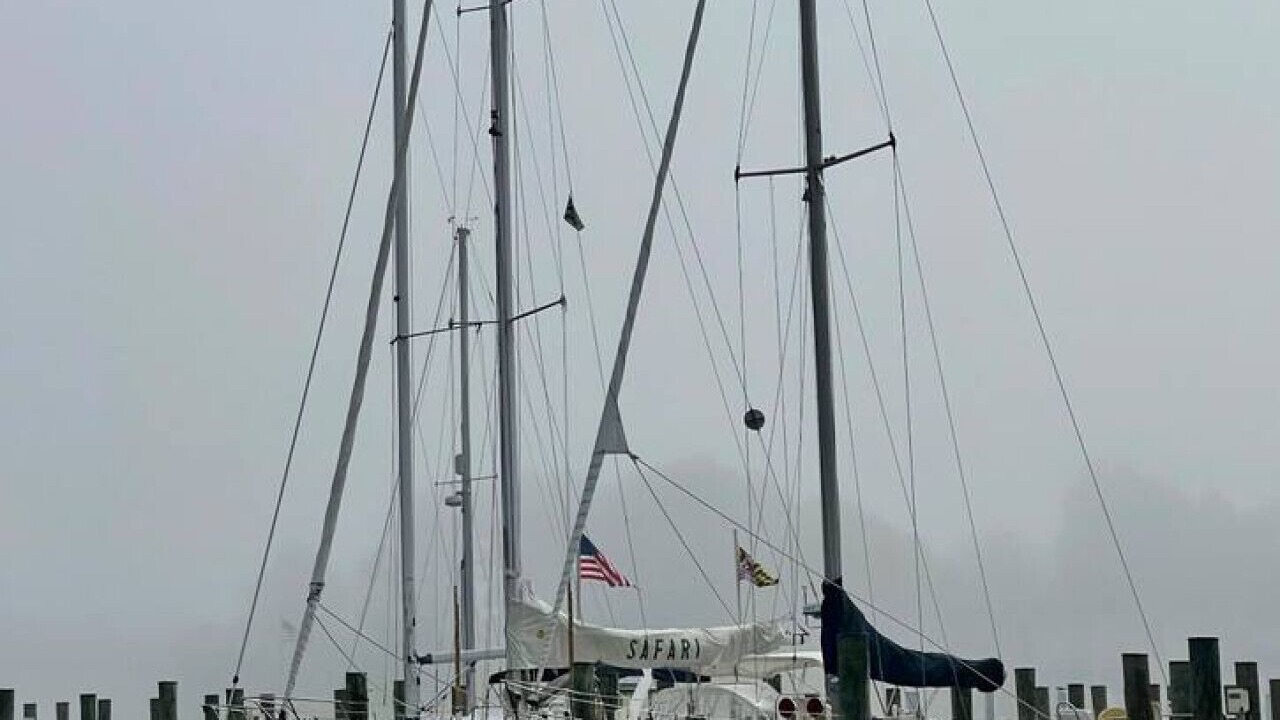 Photo of Others in St. Michaels