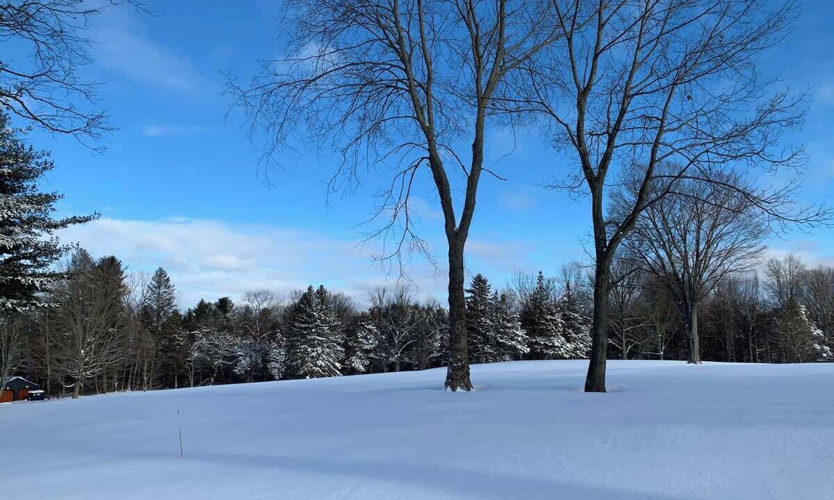 Photo of Others in Lakeville