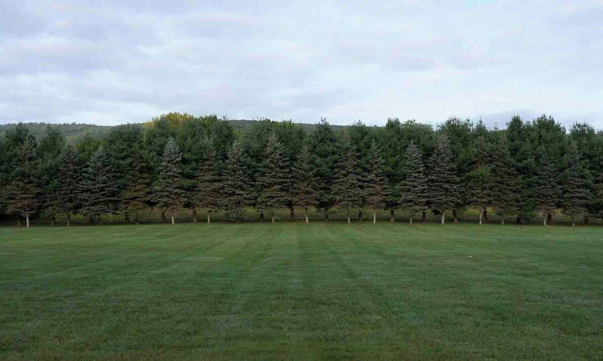 Photo of Others in Lakeville
