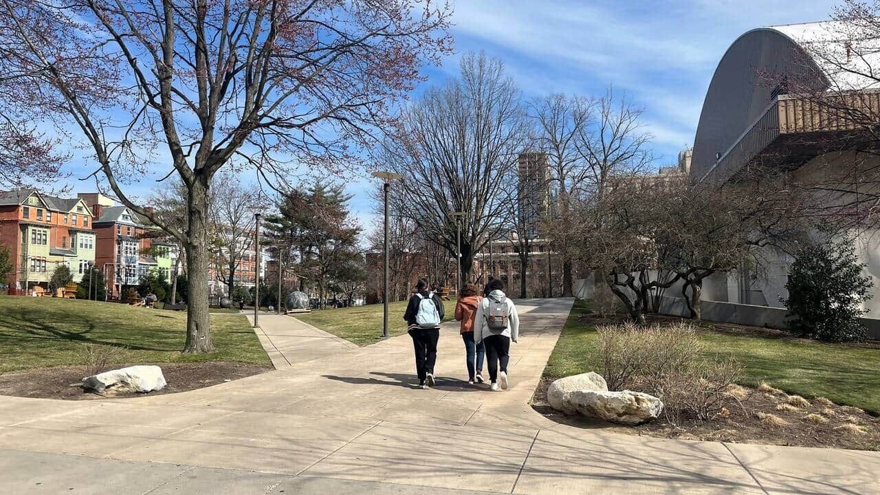 Photo of Others in Mantua