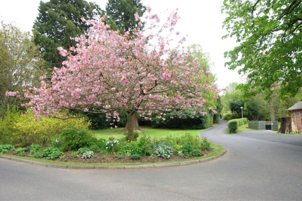 Photo of Outdoor in Melrose