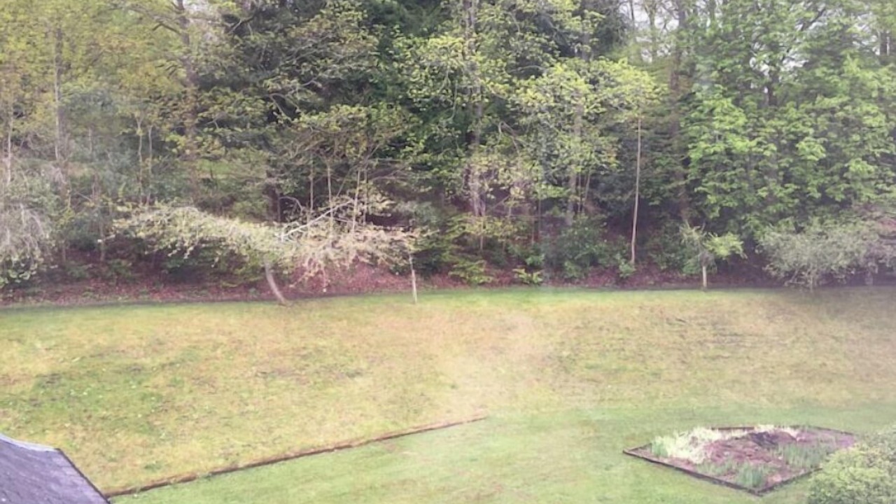 Photo of Outdoor in Melrose