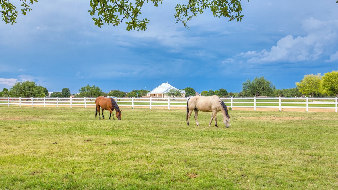 Photo of Others in San Angelo