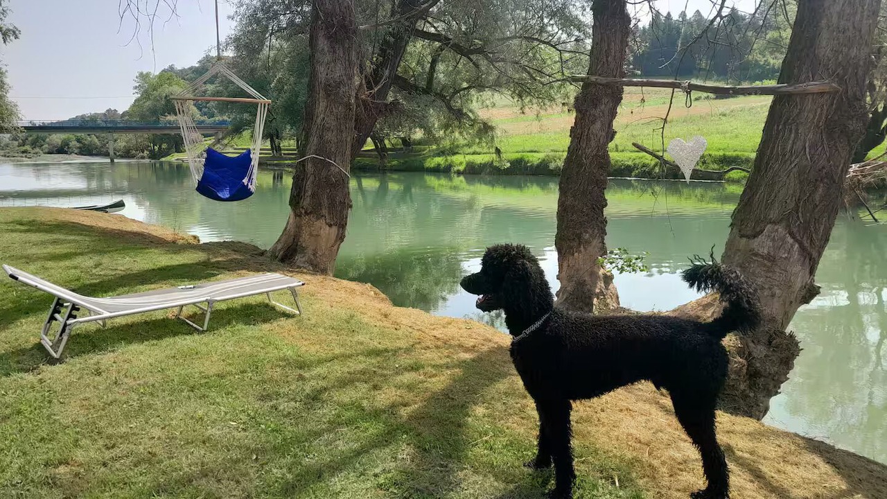 Photo of Outdoor in Barilovic