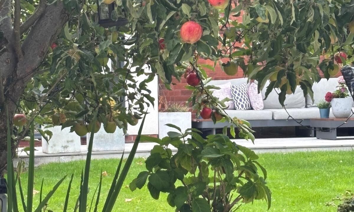 Photo of Patio Balcony in Bolton