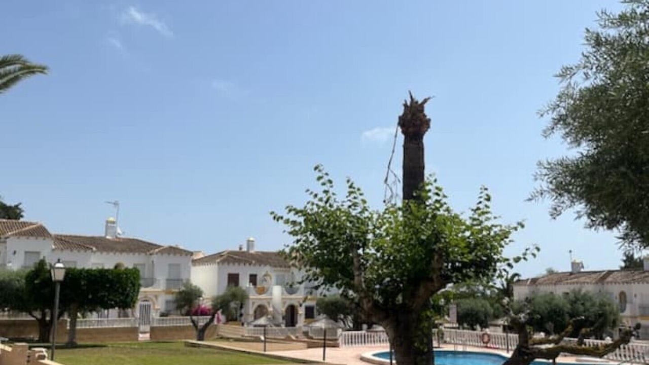 Photo of Others in San Miguel de Salinas
