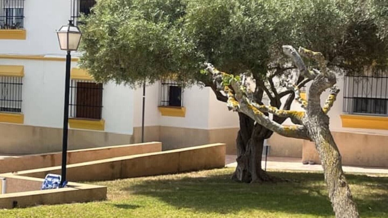 Photo of Others in San Miguel de Salinas