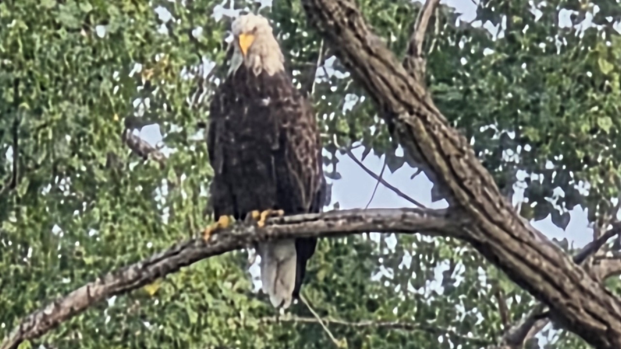 Photo of Others in Waterloo