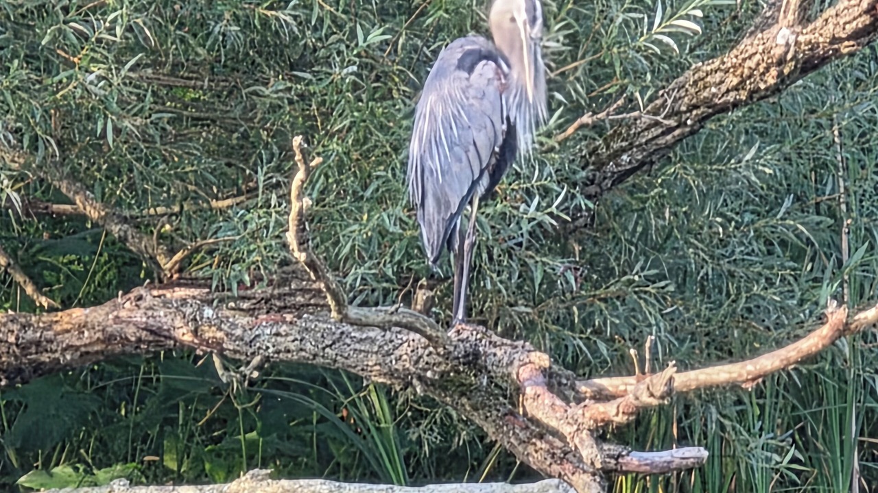 Photo of Others in Waterloo