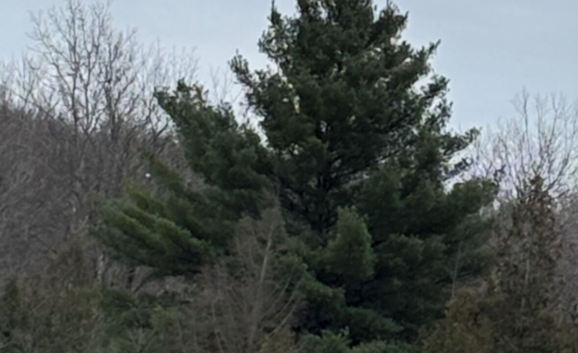Photo of Others in Ilion