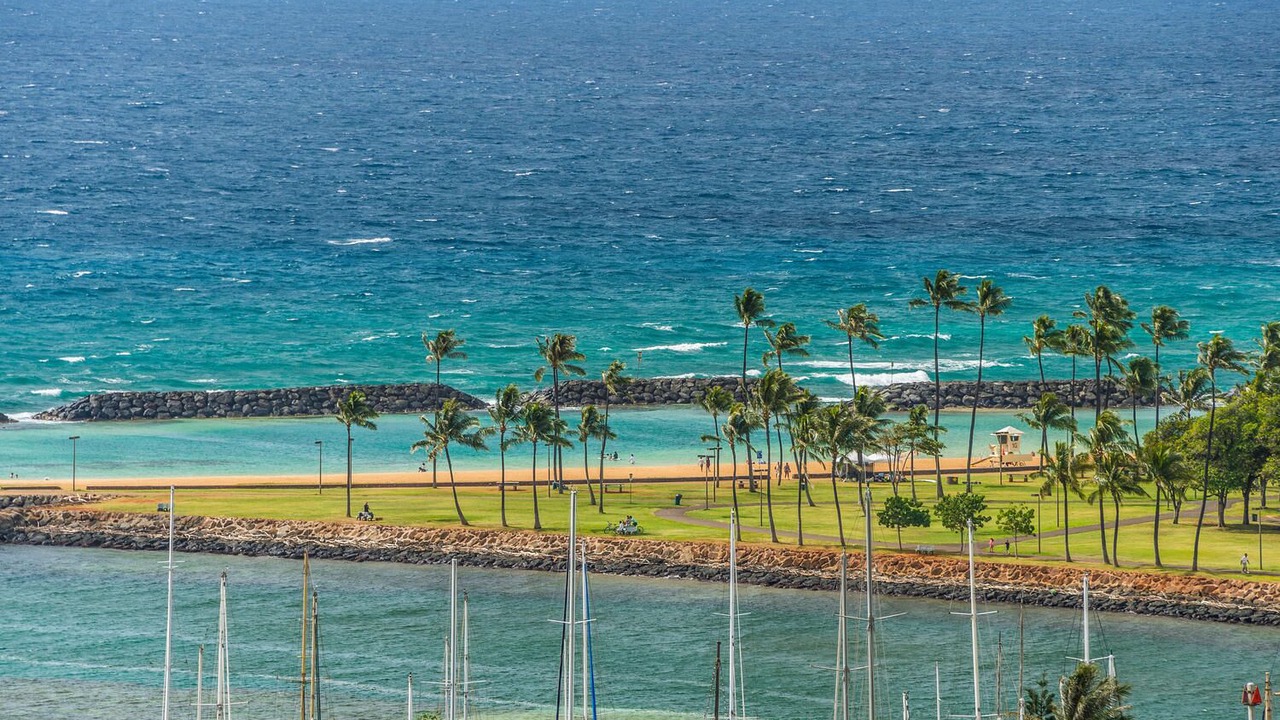 Photo of Others in Waikiki
