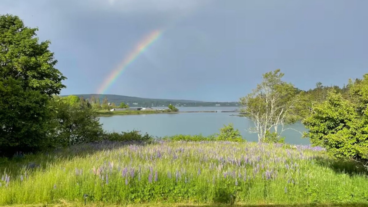 Photo of Outdoor in Southwest Harbor