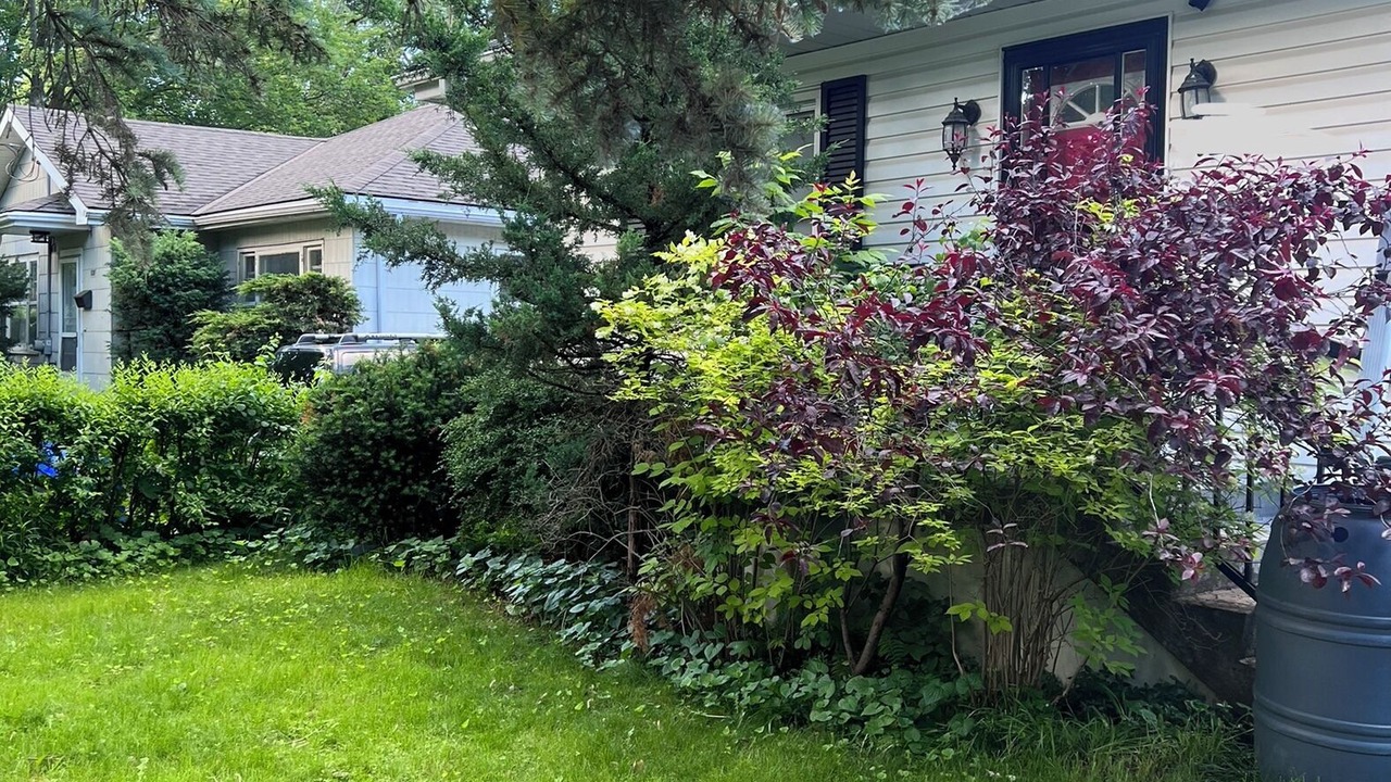 Photo of Outdoor in Belleville