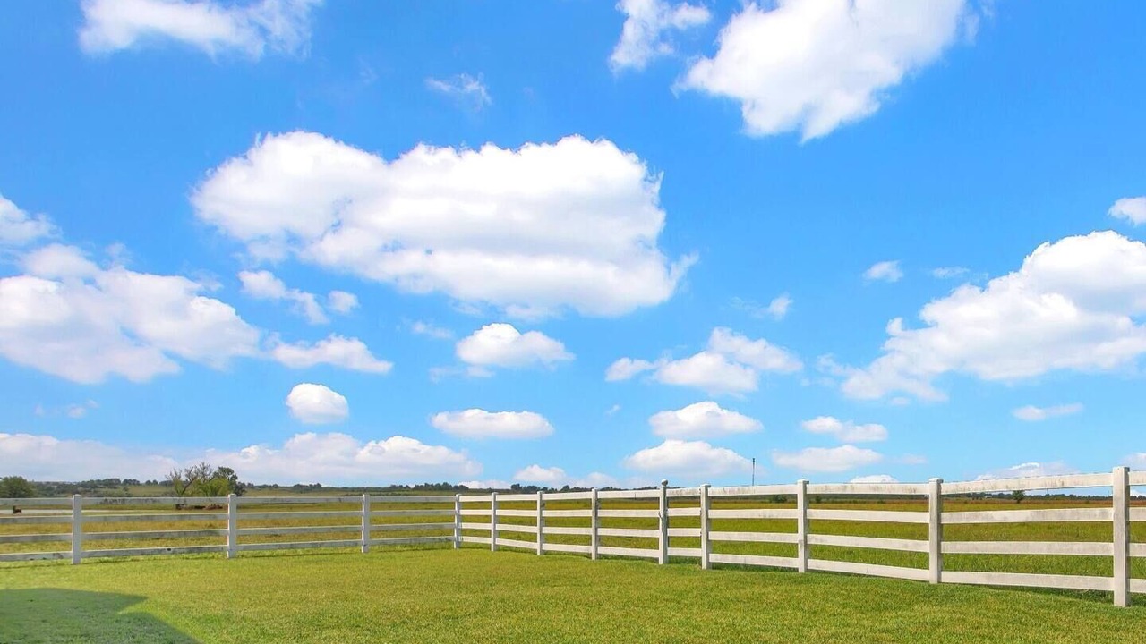 Photo of Others in Taylor