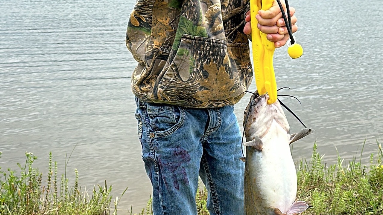 Photo of Others in Larue