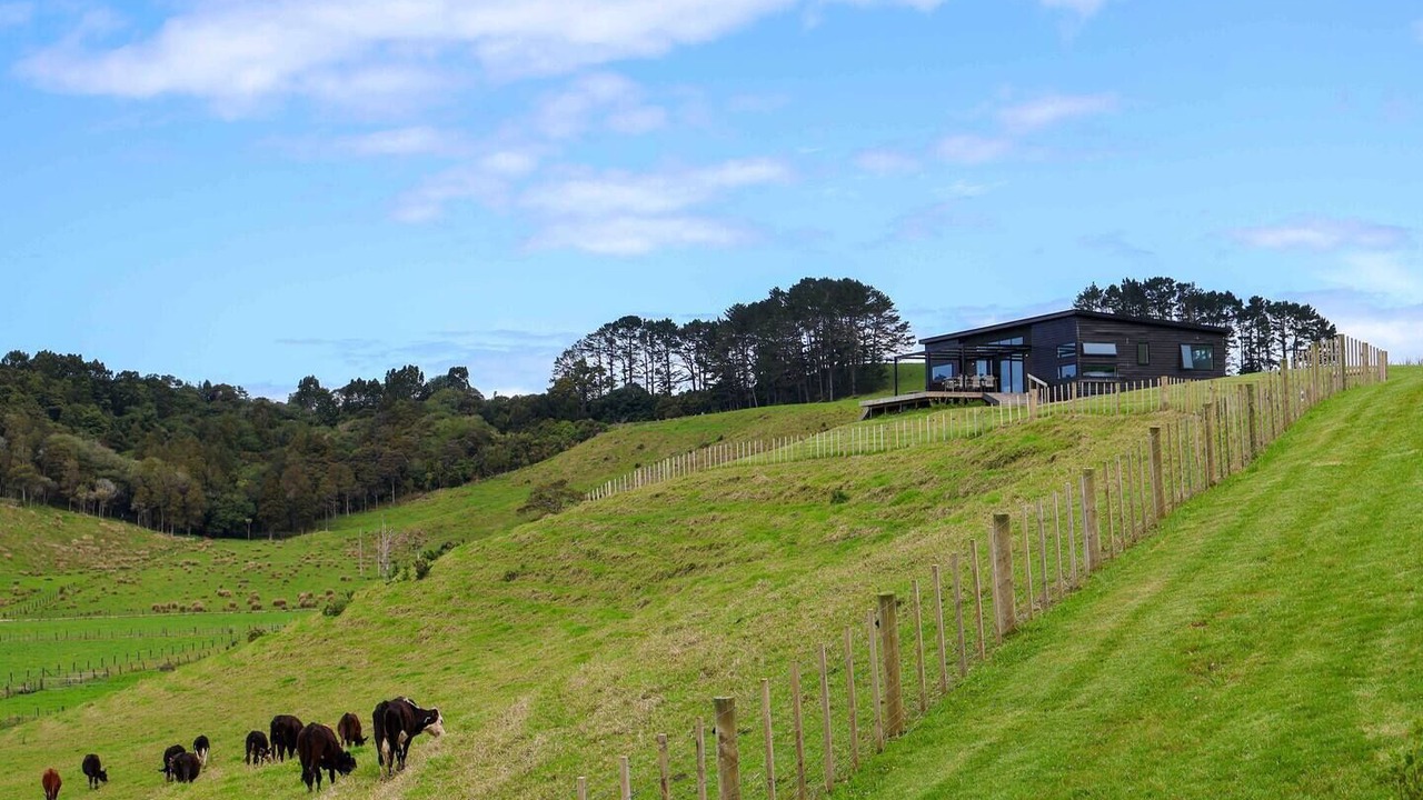 Photo of Others in Tawharanui